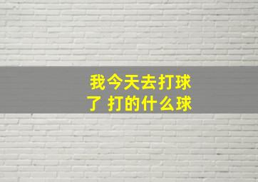 我今天去打球了 打的什么球